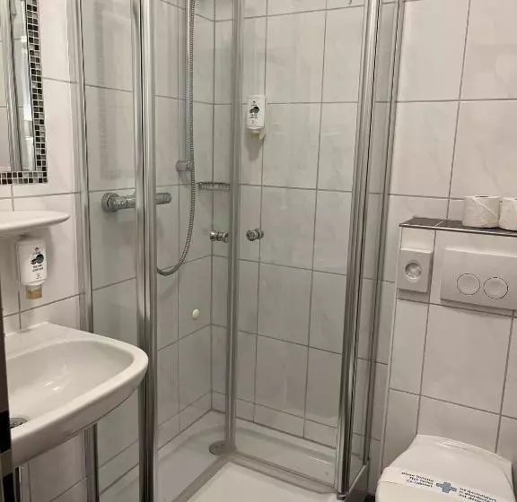スーペリアシングルルーム, Stadt Gut Hotel Siegboot