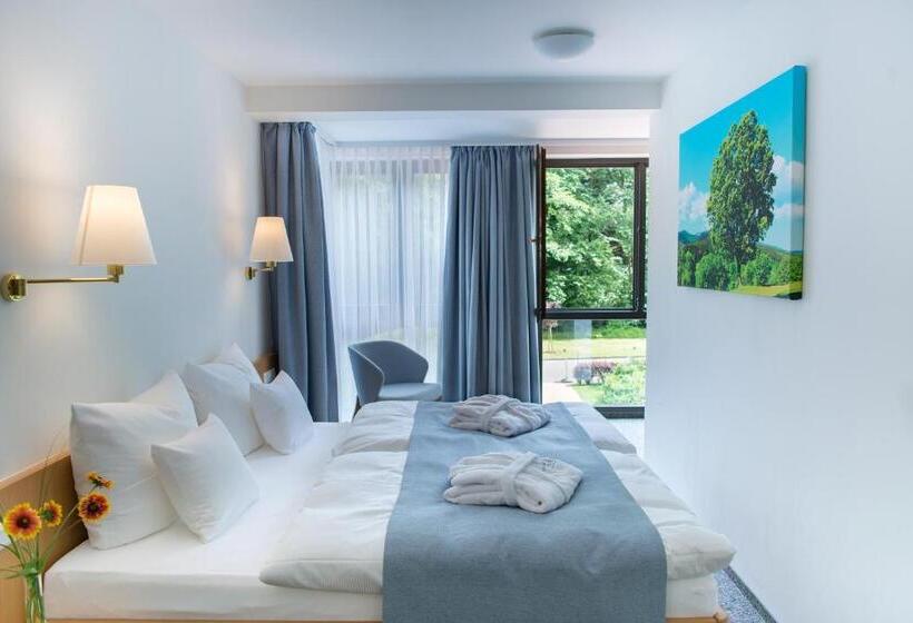 스탠다드 룸 킹사이즈 침대, Aktivhotel Inselsberg