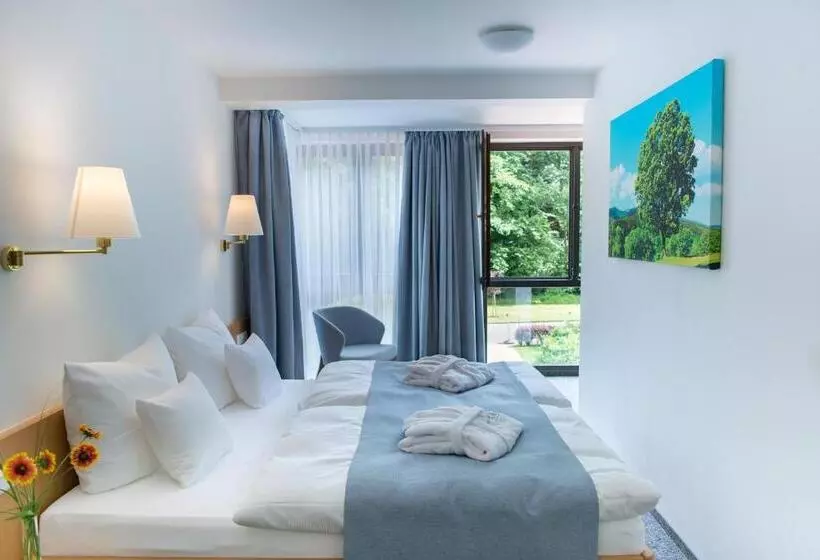 キングサイズベッドのスタンダードルーム, Aktivhotel Inselsberg