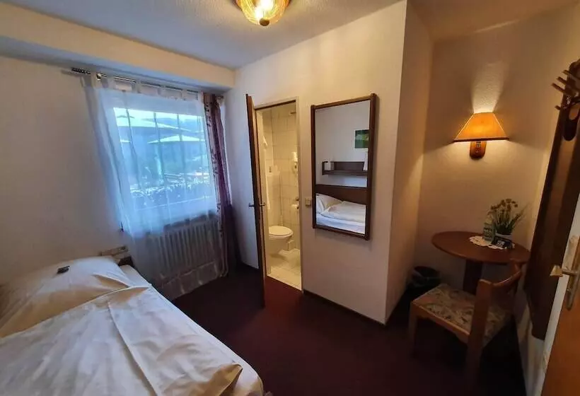 シングルベーシックルーム, Pension Haus Diefenbach