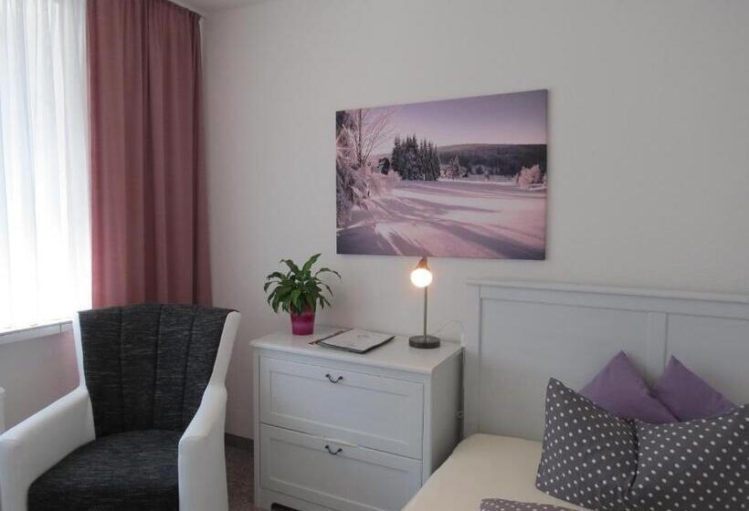 标准间, Ferienhotel Mühlleithen