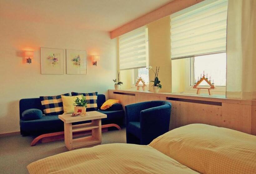 舒适型房间, Ferienhotel Mühlleithen