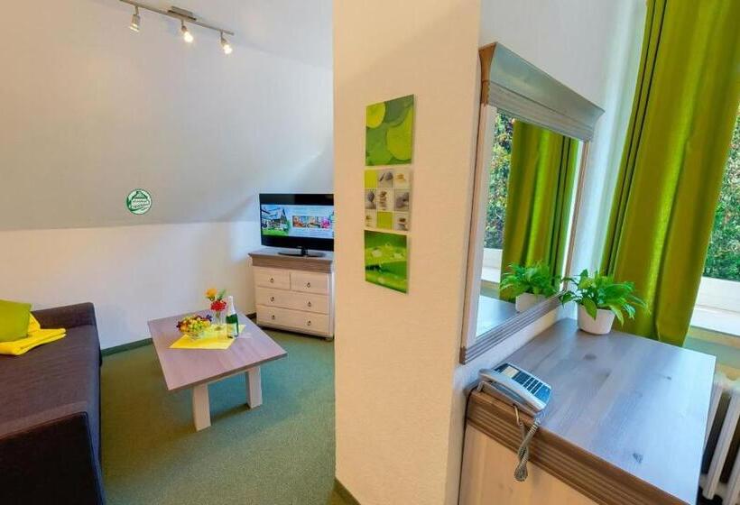 舒适型房间, Ferienhotel Mühlleithen