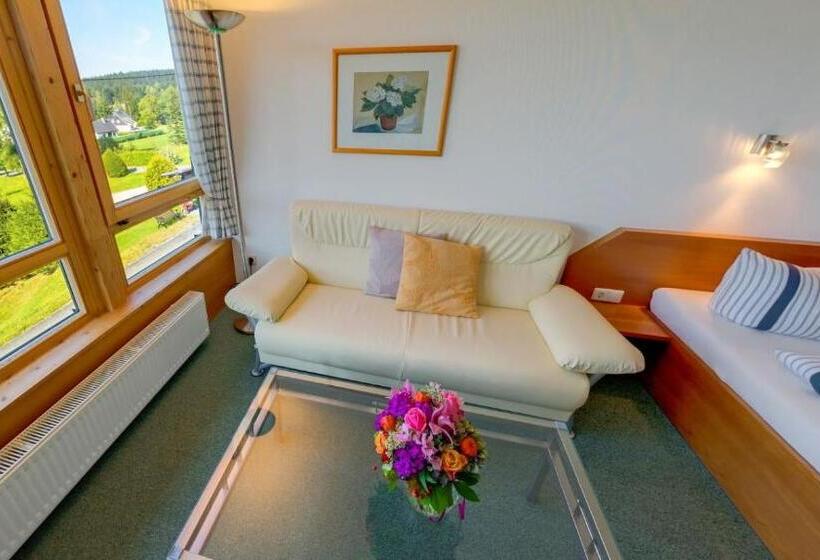 Номер Комфорт, Ferienhotel Mühlleithen