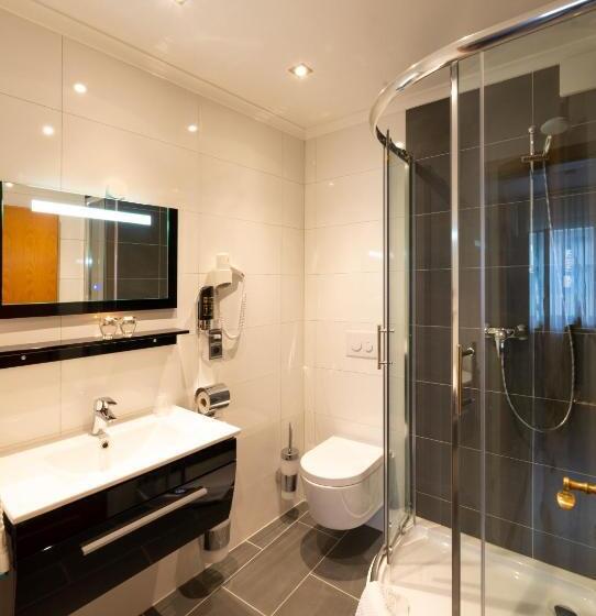 Номер Стандарт, Garni Regent