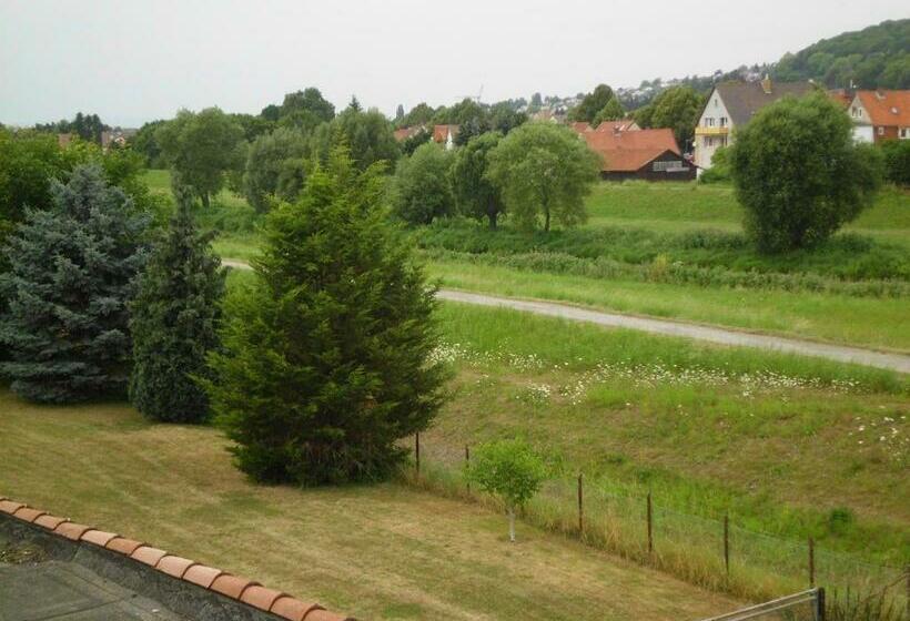 标准单人间, Zum Rücking