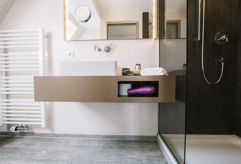 스탠다드 싱글 룸, Boutique Hotel Pfauen