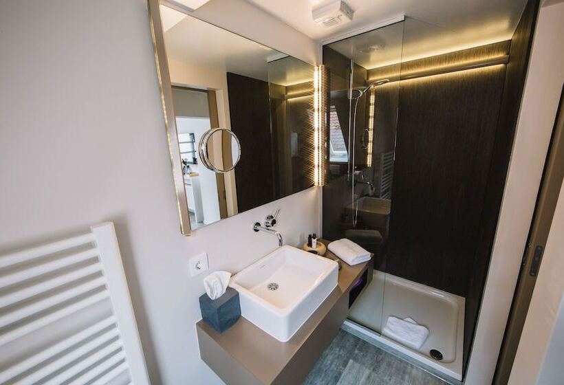Номер Стандарт Индивидуальный, Boutique Hotel Pfauen