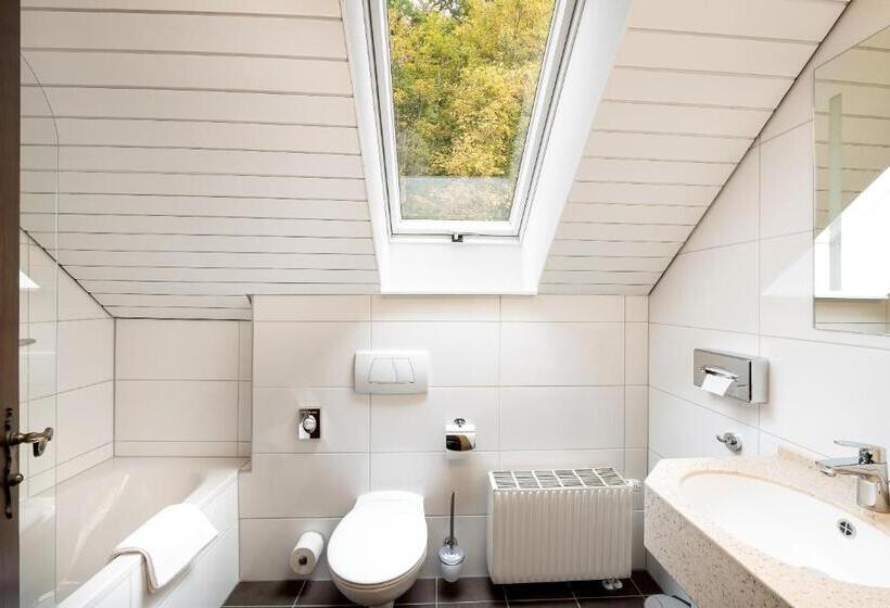 Comfort-huone, Business Class Hotel Häckermühle