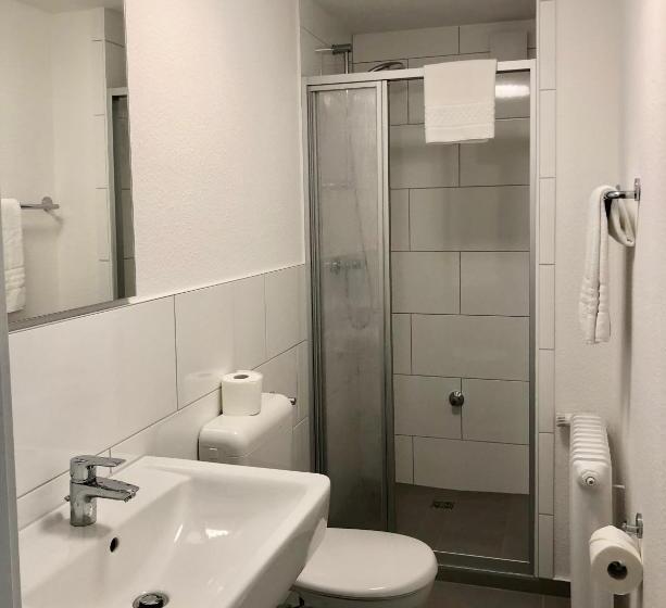 חדר סטנדרט יחיד, City Hotel Und City Apartments Centrum