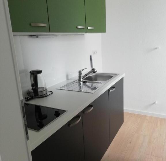 דירה בת חדר שינה 1 עם מרפסת, City Hotel Und City Apartments Centrum