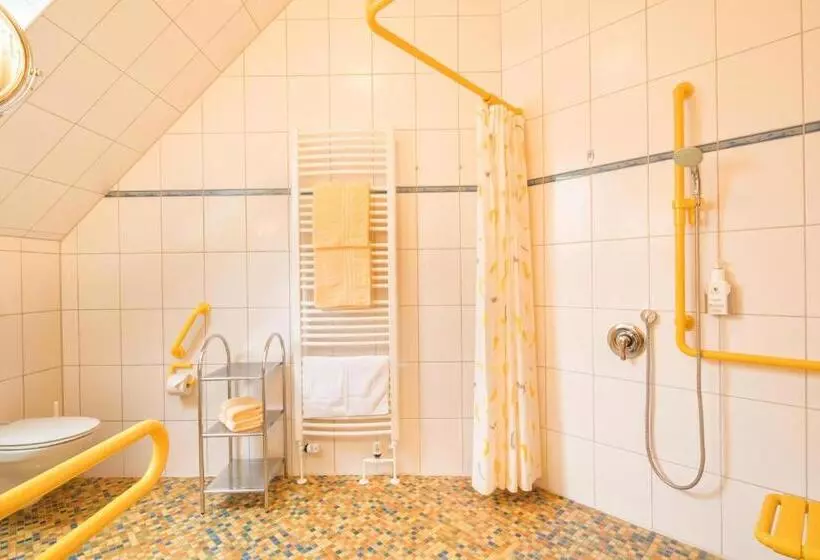 Deluxe-huone Soveltuu Liikuntarajoitteisille, Altes Zollhaus
