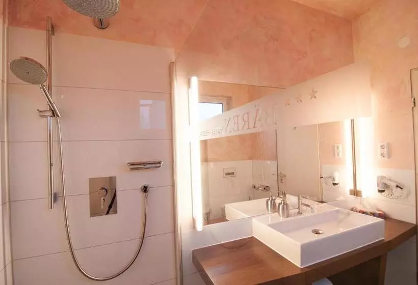 Standard-huone, Bären Trossingen
