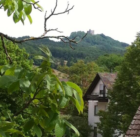 Номер Economy Индивидуальный, Garni Schmieder’s Ochsen