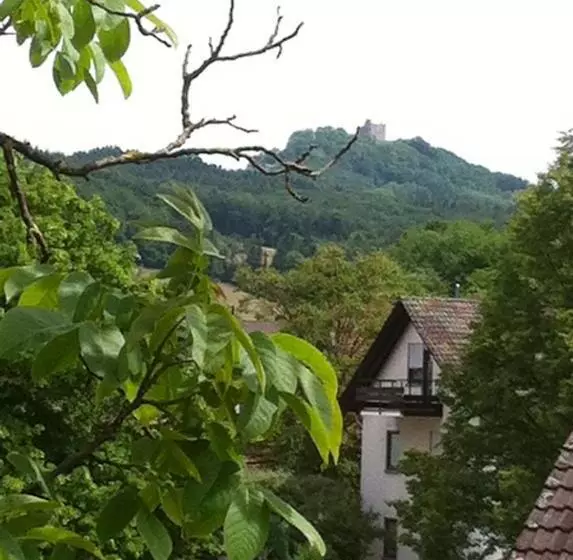 エコノミーシングルルーム, Garni Schmieder’s Ochsen
