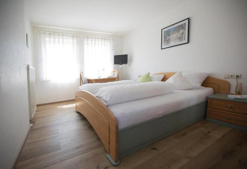 스탠다드 룸, Landgasthof Schwanen