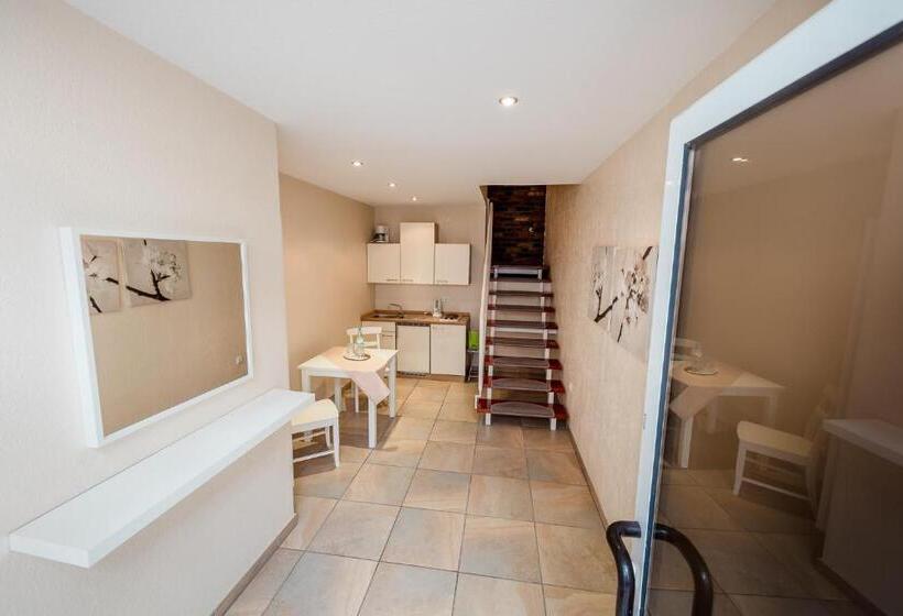 Номер Стандарт, Meyer