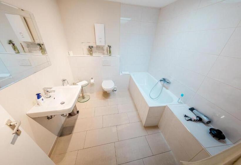 Номер Стандарт, Meyer