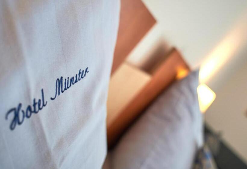 标准单人间, Münster