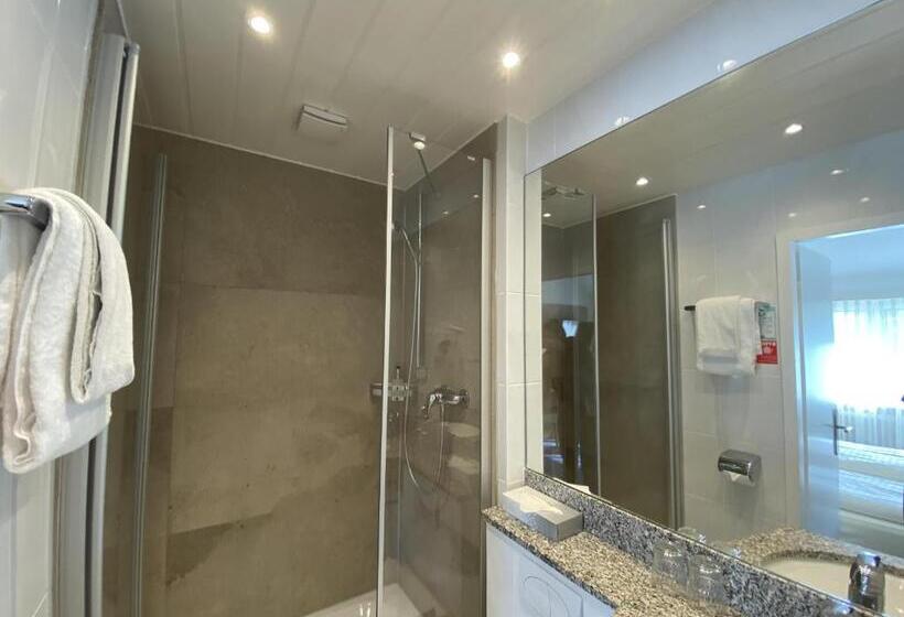 اتاق سوپریور, Romerhof