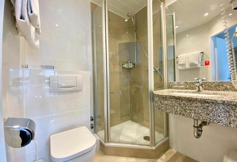 اتاق سوپریور, Romerhof