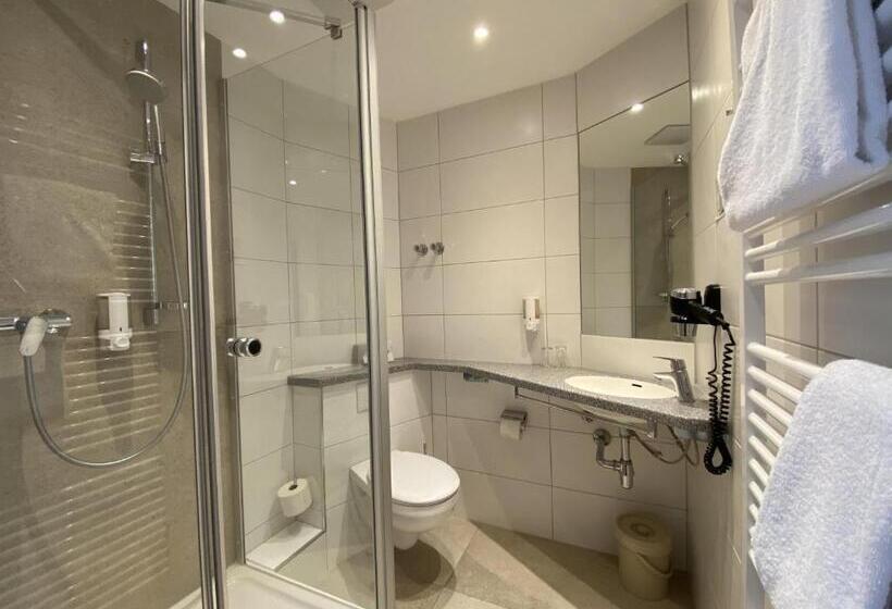 اتاق استاندارد, Romerhof