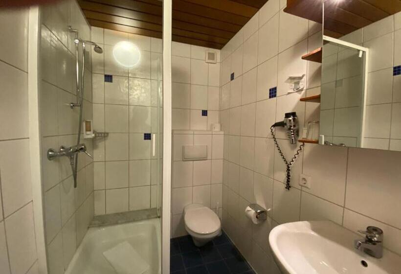 اتاق استاندارد, Romerhof