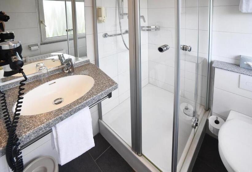 اتاق اکونومی یک تخته, Romerhof