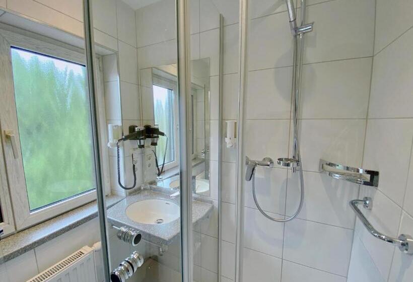 اتاق اکونومی یک تخته, Romerhof