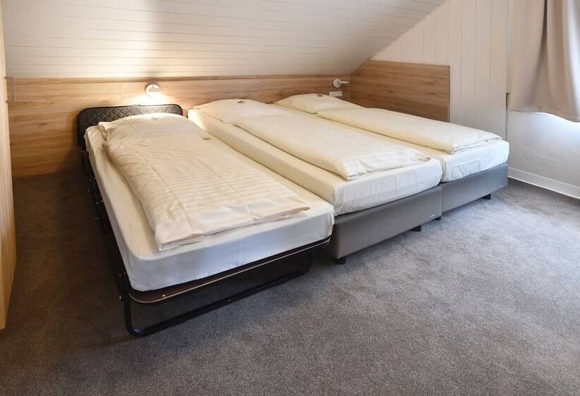 اتاق راحتی, Romerhof