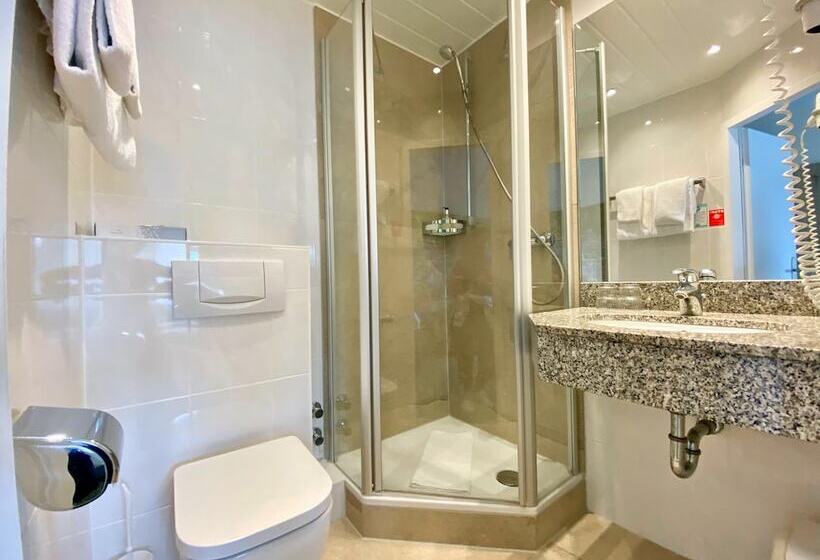 اتاق سوپریور, Romerhof