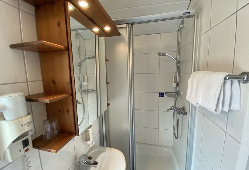 آپارتمان 1 خوابه, Romerhof