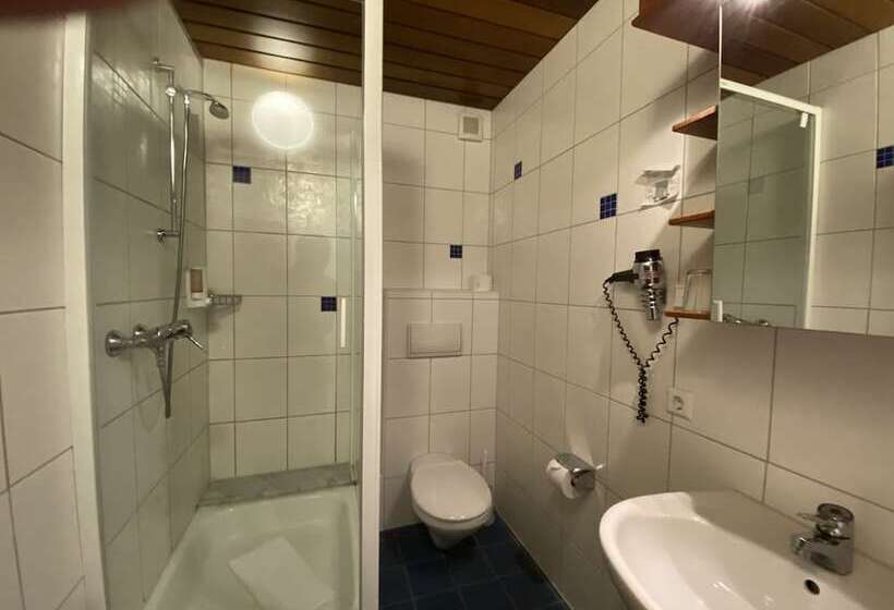 آپارتمان 1 خوابه, Romerhof