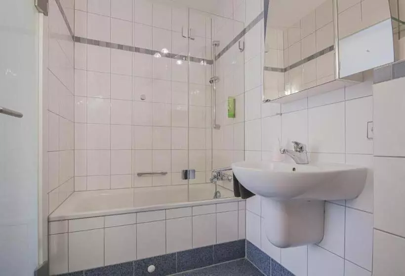Standard Yhden Hengen Huone, Landgasthof Hotel Rebstock
