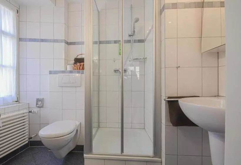 Standard-huone, Landgasthof Hotel Rebstock