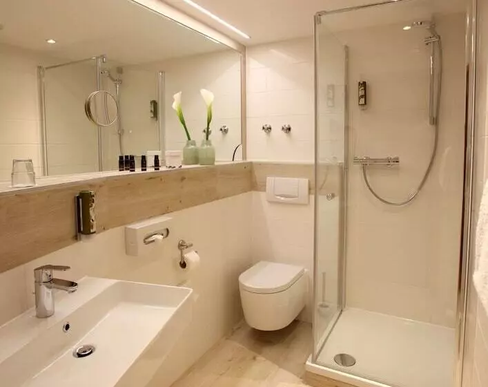 コンフォートルーム, Parkhotel Landau