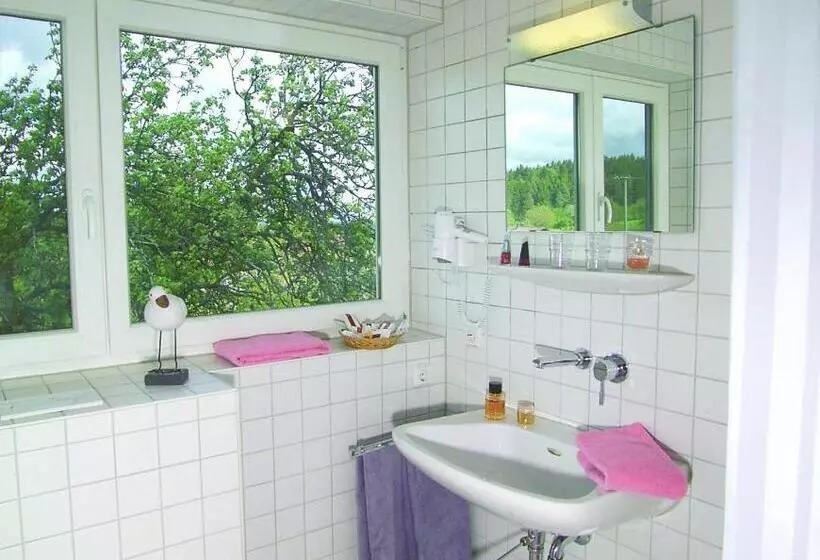 Standard Yhden Hengen Huone, Landgasthof Brachfeld