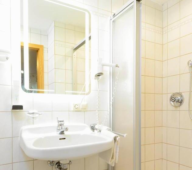 스탠다드 싱글 룸, Landgasthof Linkenmühle