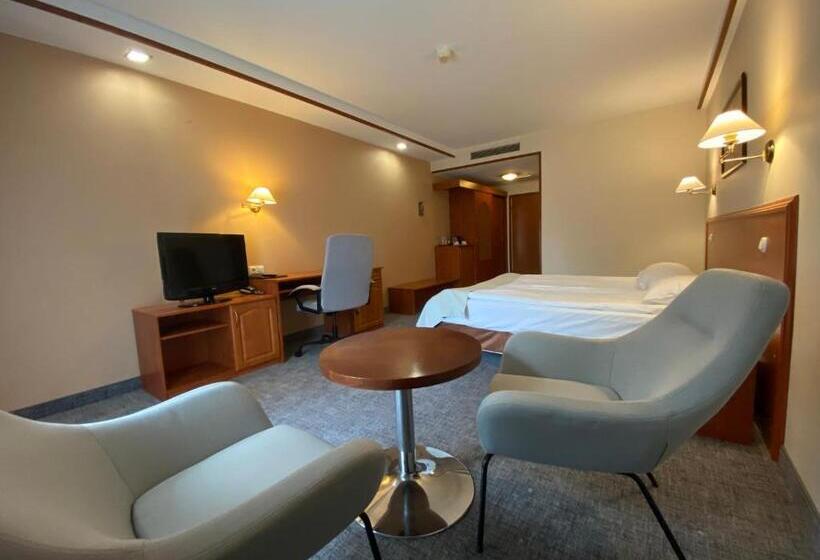 高级大房间, Ambasador Chojny