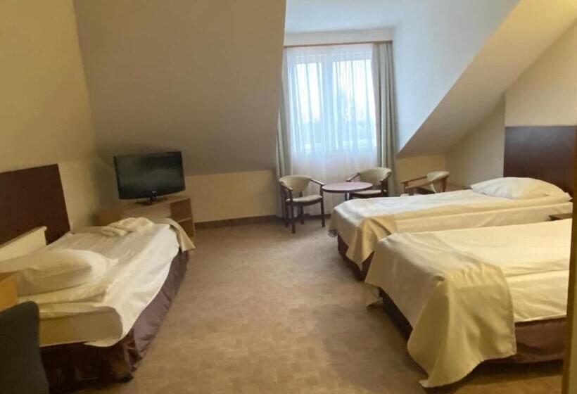 标准三人间, Ambasador Chojny