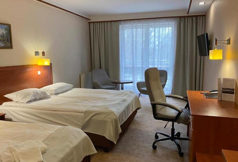 豪华家庭房间, Ambasador Chojny