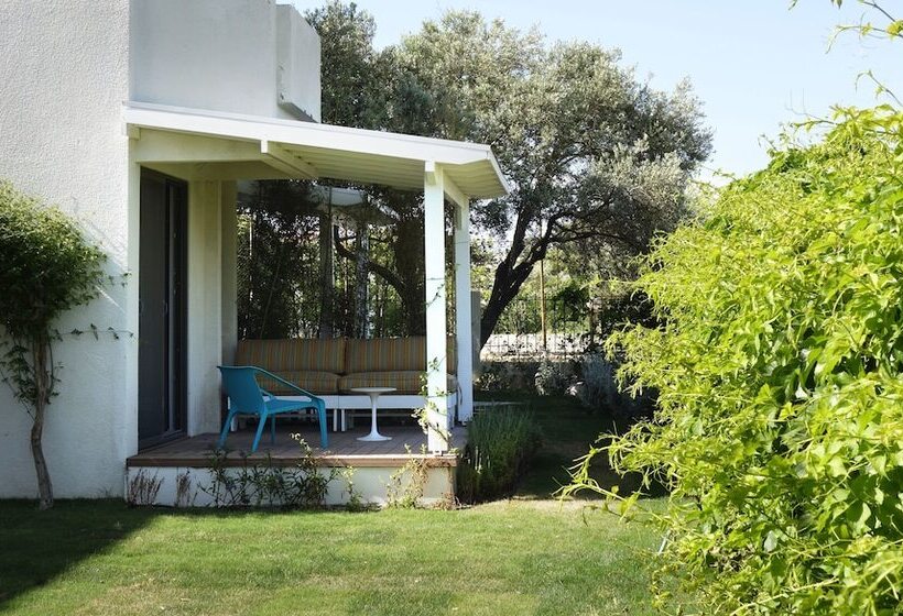 غرفة قياسية, Arinnanda Otel