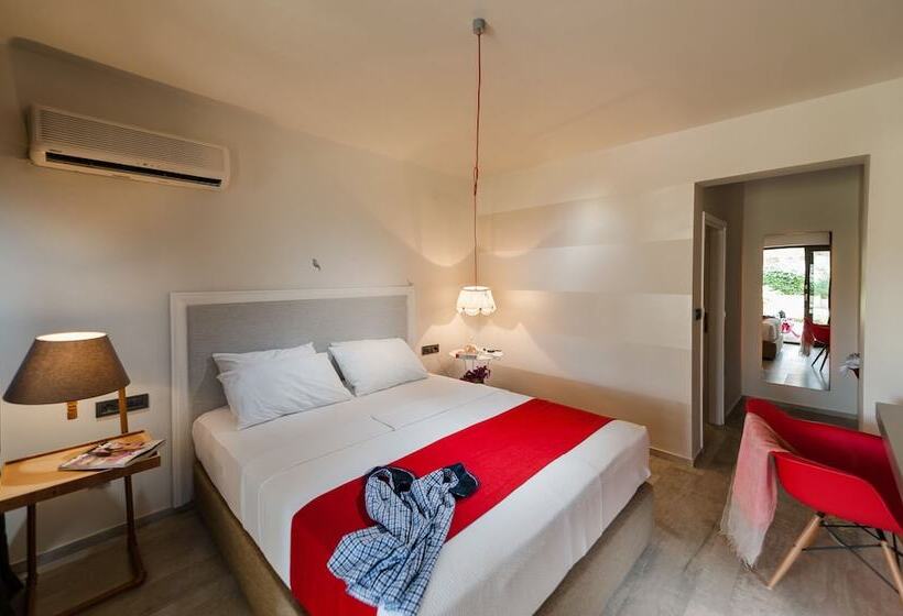 غرفة قياسية, Arinnanda Otel