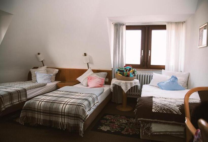 Номер Стандарт Трехместный, Barbarossa Garni