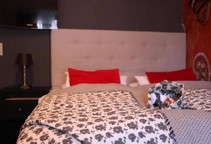 Номер Стандарт, Barbarossa Garni