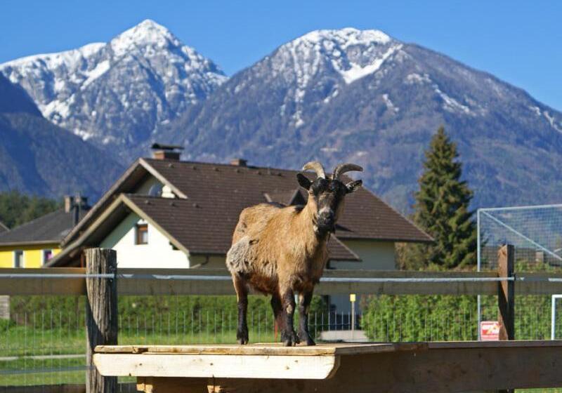 家庭间, Bed & Breakfast Eckwirt