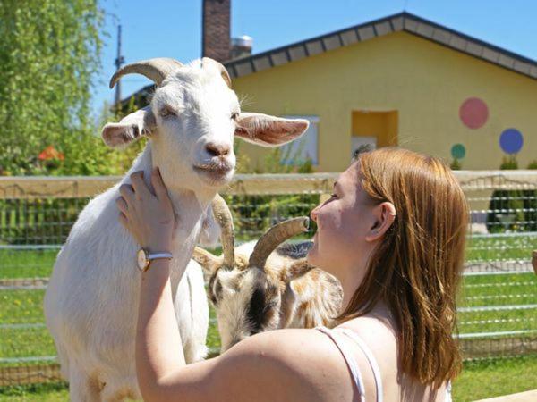 标准间带阳台, Bed & Breakfast Eckwirt