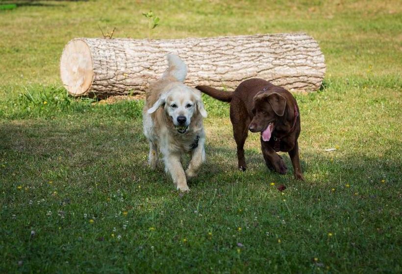 带阳台标准四人间, Bed & Breakfast Eckwirt