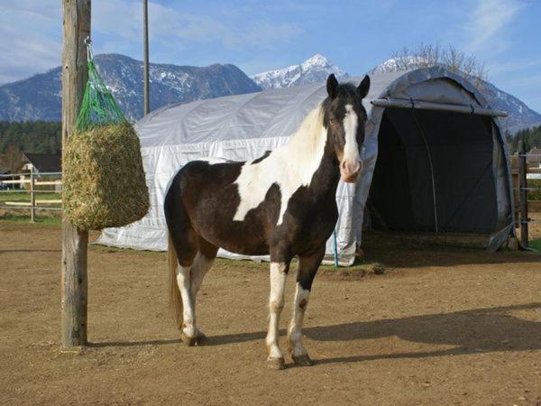 带阳台标准四人间, Bed & Breakfast Eckwirt