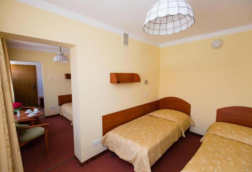 חדר סטודיו סטנדרד, Geovita Muszyna